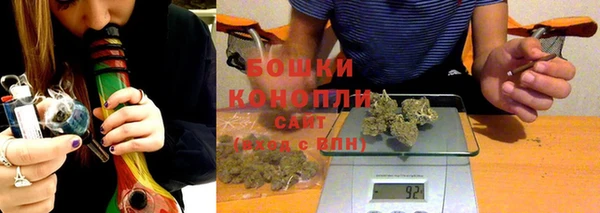PSILOCYBIN Гусь-Хрустальный
