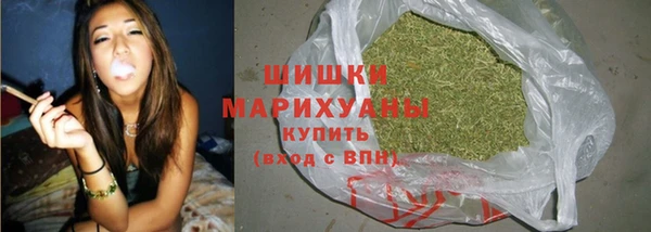 PSILOCYBIN Гусь-Хрустальный