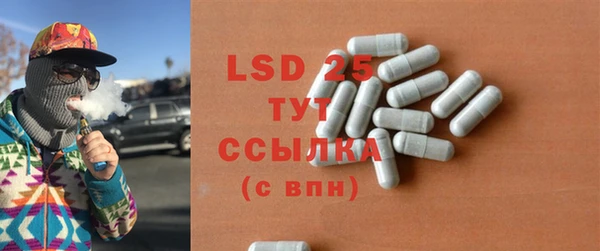 PSILOCYBIN Гусь-Хрустальный