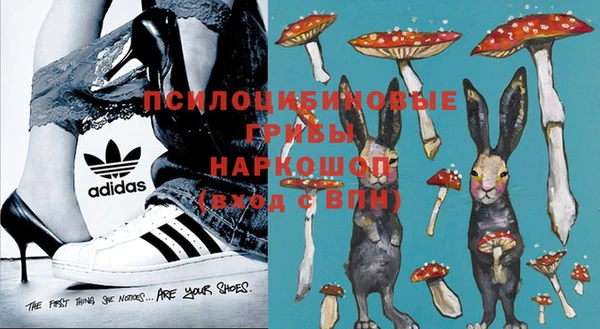 PSILOCYBIN Гусь-Хрустальный