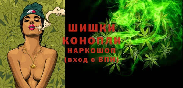 бошки Гусев