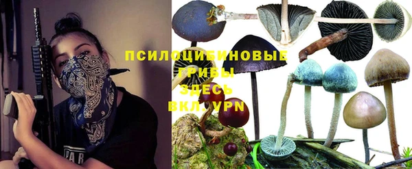 PSILOCYBIN Гусь-Хрустальный