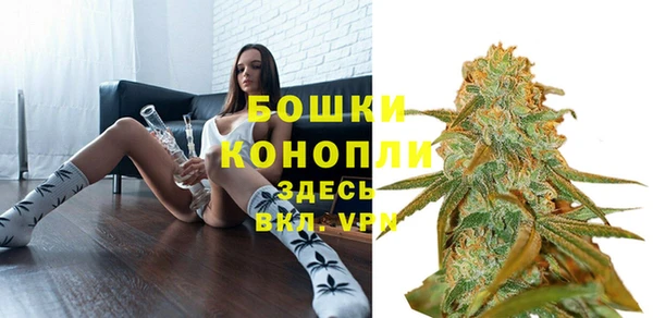 PSILOCYBIN Гусь-Хрустальный