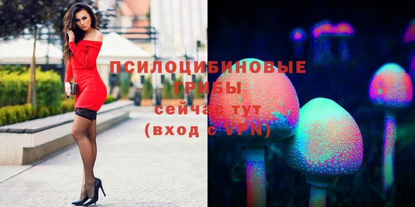 марихуана Гусиноозёрск