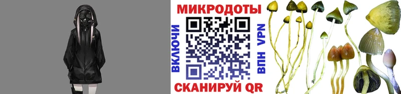 наркота  Меленки  Галлюциногенные грибы мицелий 